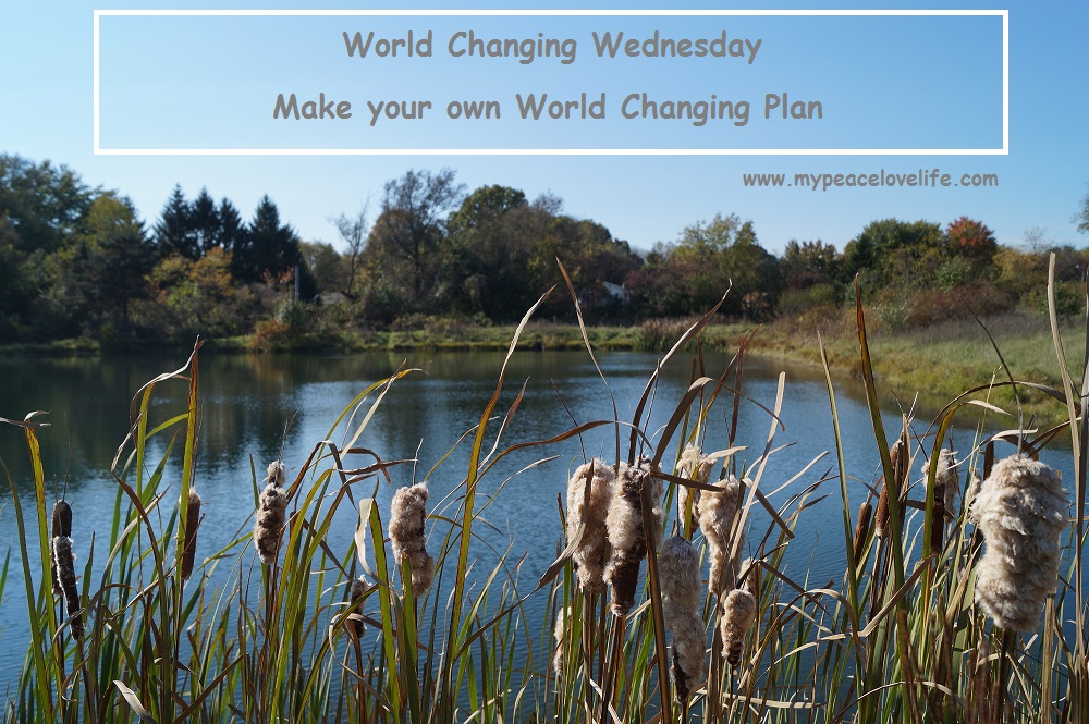 World Changing Wednesday; Make your own World Changing Plan
