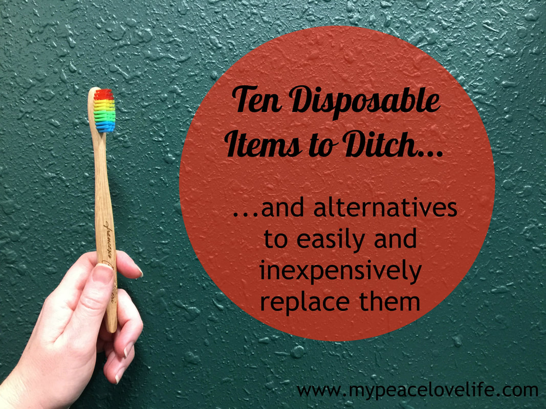 Ten Disposable Items to Ditch and alternatives to replace them 