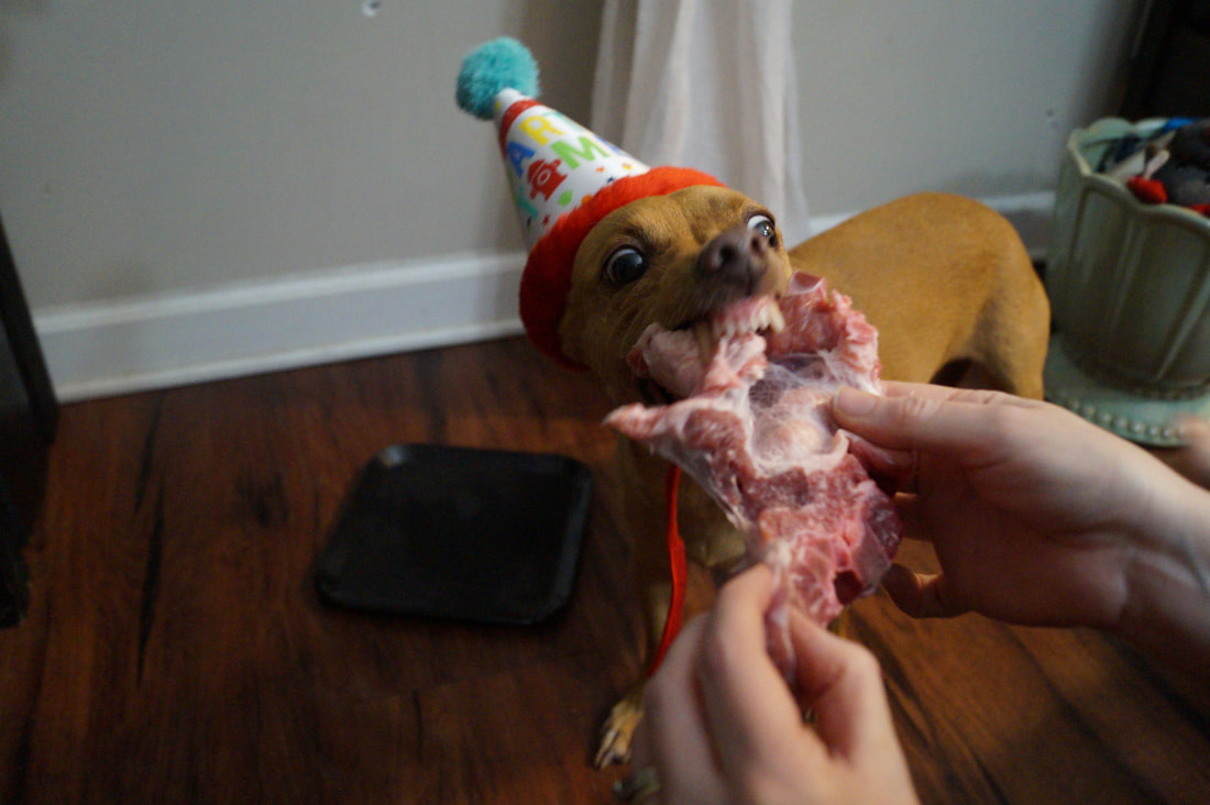 Rocco's 7th Birthday Bash! 