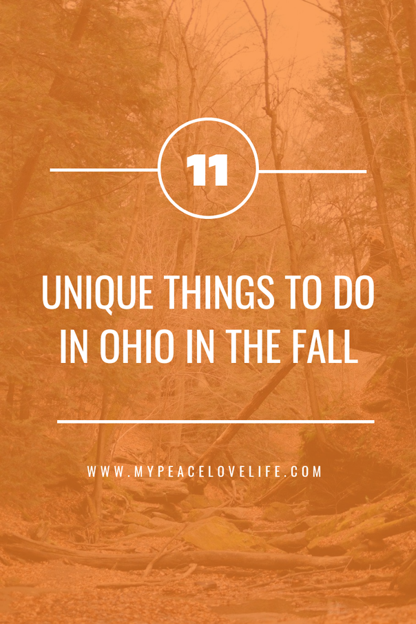 11 Unique Things to Do in Ohio in the Fall 