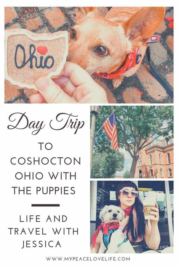 Day Trip to Coshocton Ohio with the Puppies